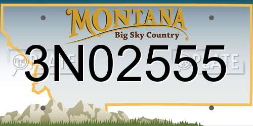 3N02555 Montana License Plate