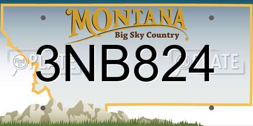 3NB824 Montana License Plate