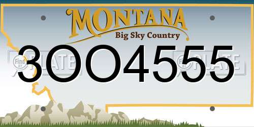 3OO4555 Montana License Plate