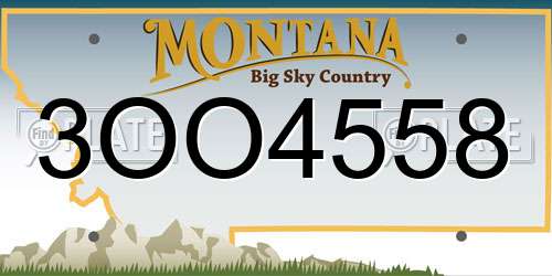 3OO4558 Montana License Plate