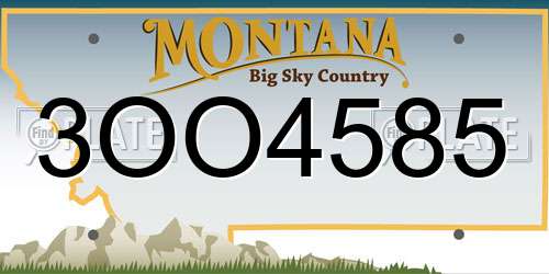 3OO4585 Montana License Plate