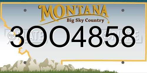3OO4858 Montana License Plate