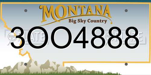 3OO4888 Montana License Plate
