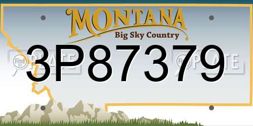 3P87379 Montana License Plate