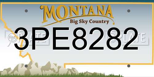 3PE8282 Montana License Plate