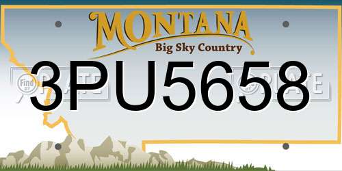 3PU5658 Montana License Plate
