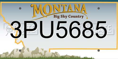 3PU5685 Montana License Plate