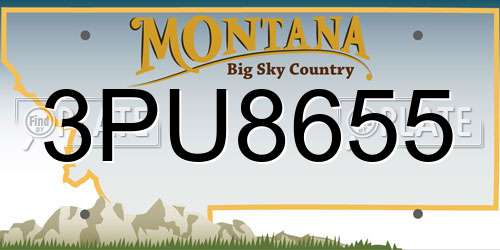 3PU8655 Montana License Plate