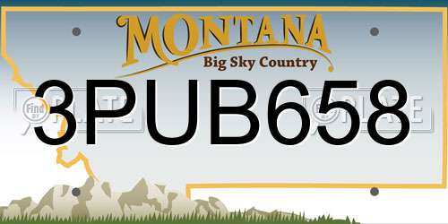 3PUB658 Montana License Plate