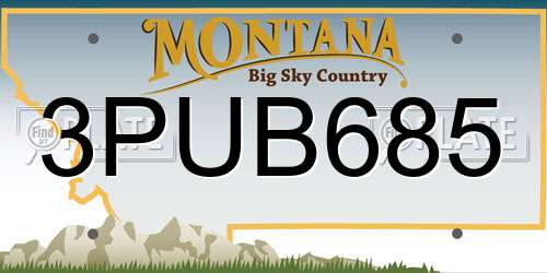 3PUB685 Montana License Plate
