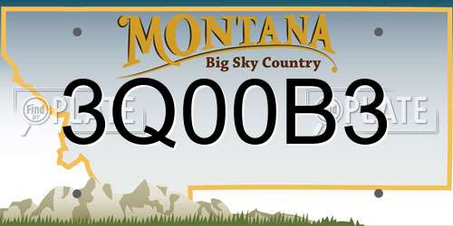 3Q00B3 Montana License Plate