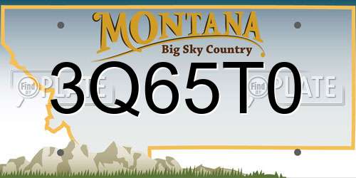 3Q65T0 Montana License Plate