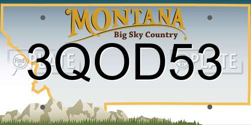 3QOD53 Montana License Plate
