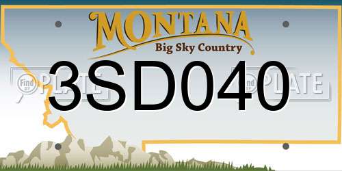 3SD040 Montana License Plate