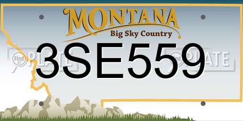 3SE559 Montana License Plate
