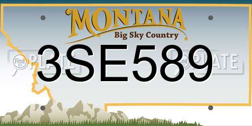 3SE589 Montana License Plate
