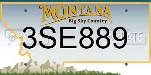 3SE889 Montana License Plate