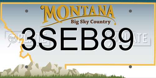 3SEB89 Montana License Plate