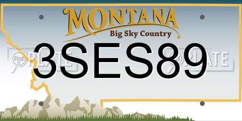 3SES89 Montana License Plate