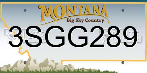 3SGG289 Montana License Plate
