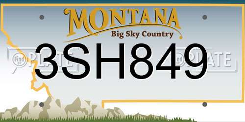 3SH849 Montana License Plate