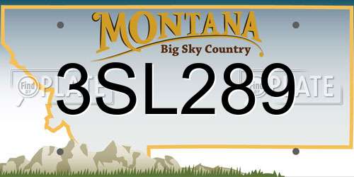 3SL289 Montana License Plate