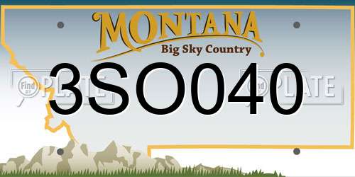 3SO040 Montana License Plate