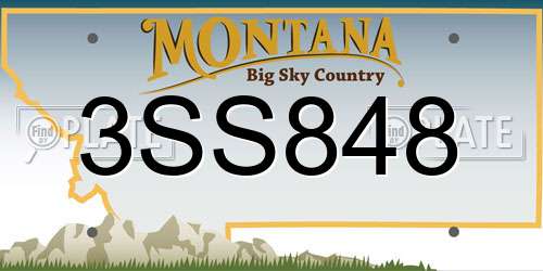 3SS848 Montana License Plate