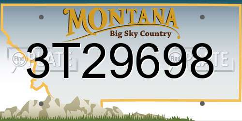 3T29698 Montana License Plate