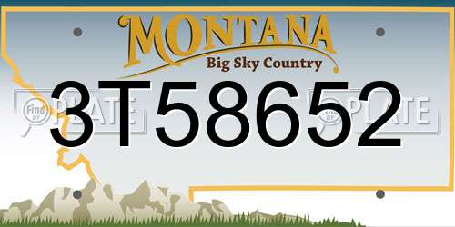 3T58652 Montana License Plate