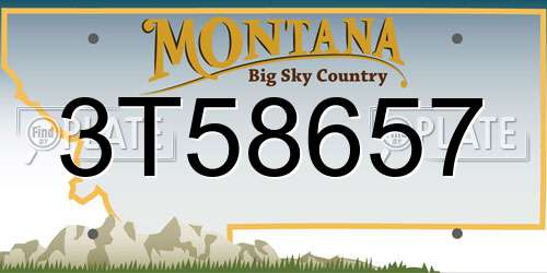3T58657 Montana License Plate