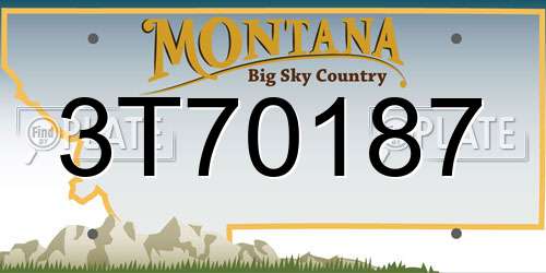 3T70187 Montana License Plate