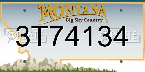 3T74134 Montana License Plate