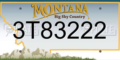 3T83222 Montana License Plate