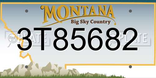 3T85682 Montana License Plate