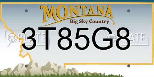 3T85G8 Montana License Plate