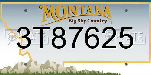 3T87625 Montana License Plate