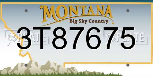 3T87675 Montana License Plate