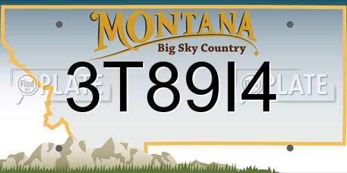3T89I4 Montana License Plate
