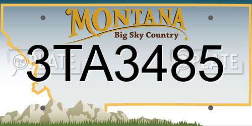 3TA3485 Montana License Plate