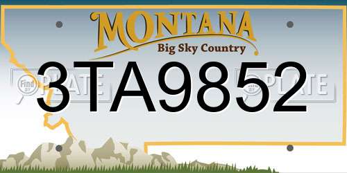 3TA9852 Montana License Plate