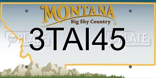 3TAI45 Montana License Plate