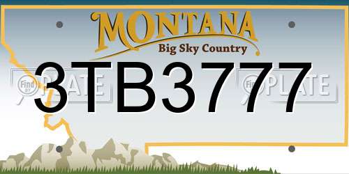 3TB3777 Montana License Plate