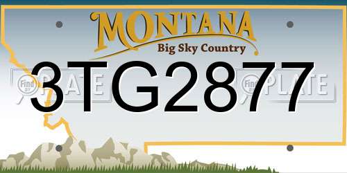 3TG2877 Montana License Plate