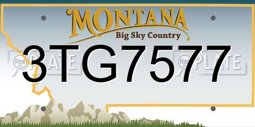 3TG7577 Montana License Plate