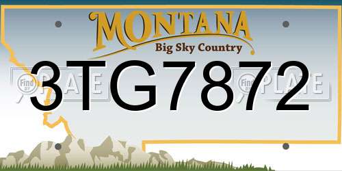 3TG7872 Montana License Plate