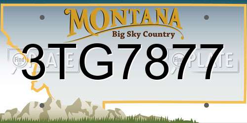 3TG7877 Montana License Plate