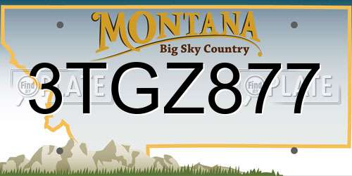 3TGZ877 Montana License Plate