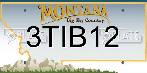 3TIB12 Montana License Plate