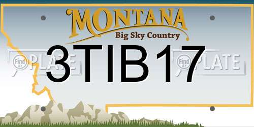 3TIB17 Montana License Plate